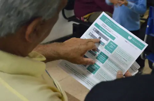 proyecto primavera software